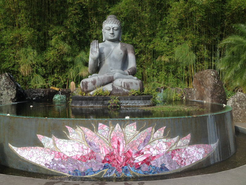 Worry versus Manifesting