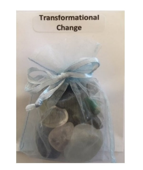 Transformational Change Pouch